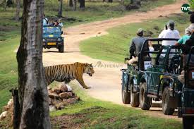 cab service in Pench