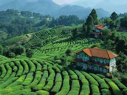 cab service in Ooty
