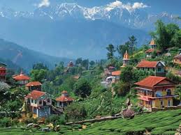 cab service in Palampur